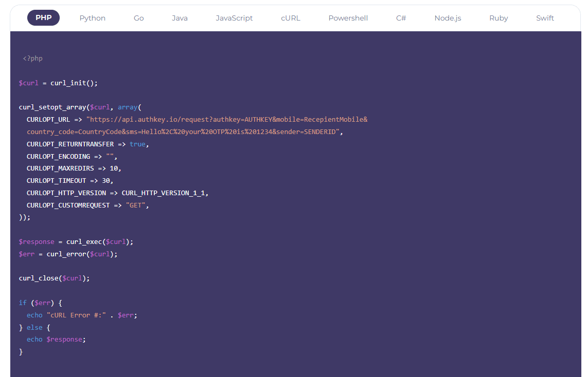 API Docs Code Snippet